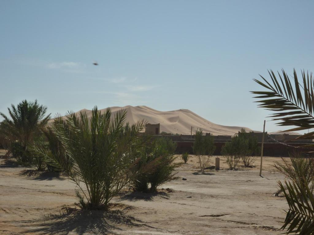 Auberge Africa Merzouga Exterior foto