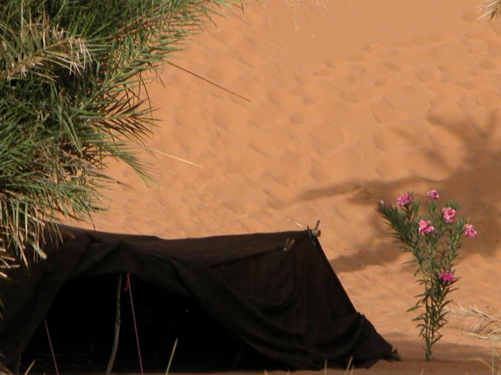 Auberge Africa Merzouga Cameră foto
