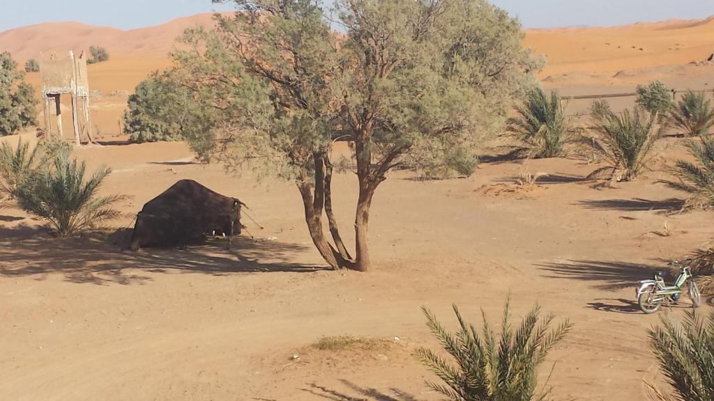 Auberge Africa Merzouga Exterior foto