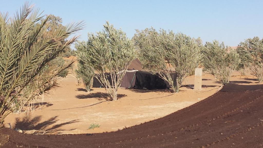 Auberge Africa Merzouga Cameră foto