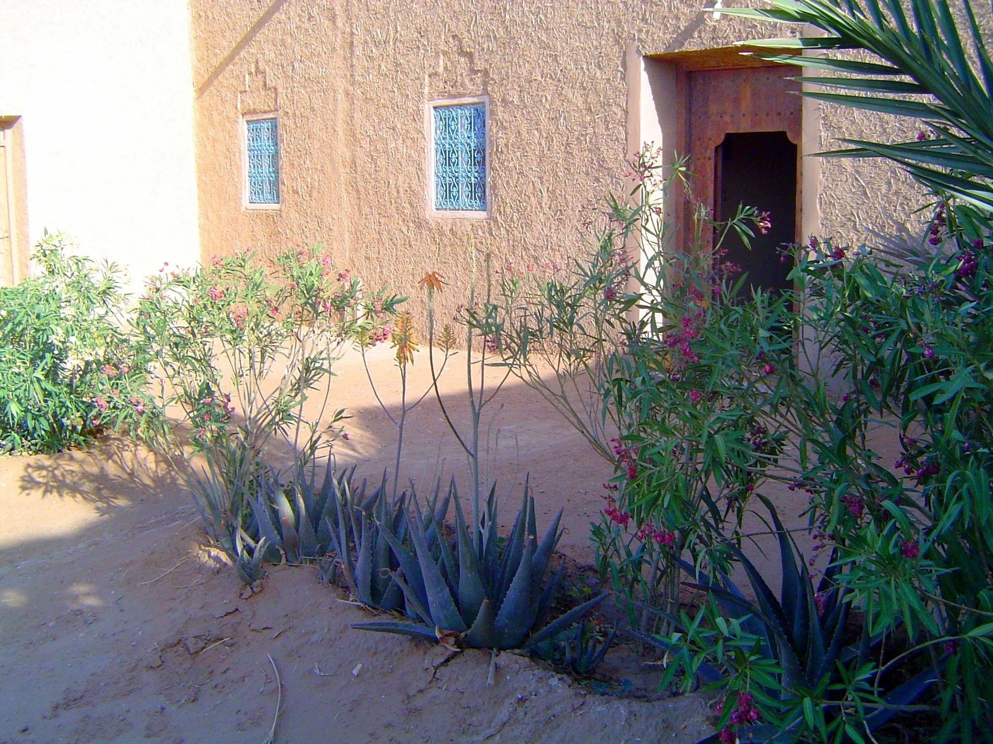 Auberge Africa Merzouga Exterior foto